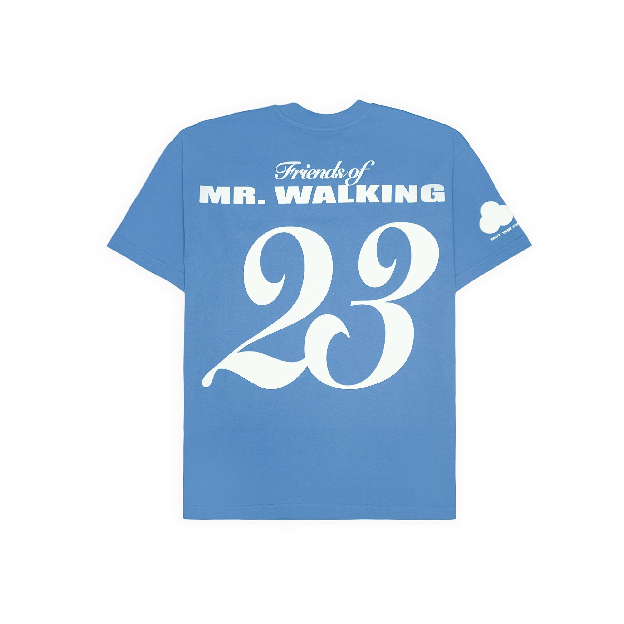 FRIENDS OF MR. WALKING T - Image 4
