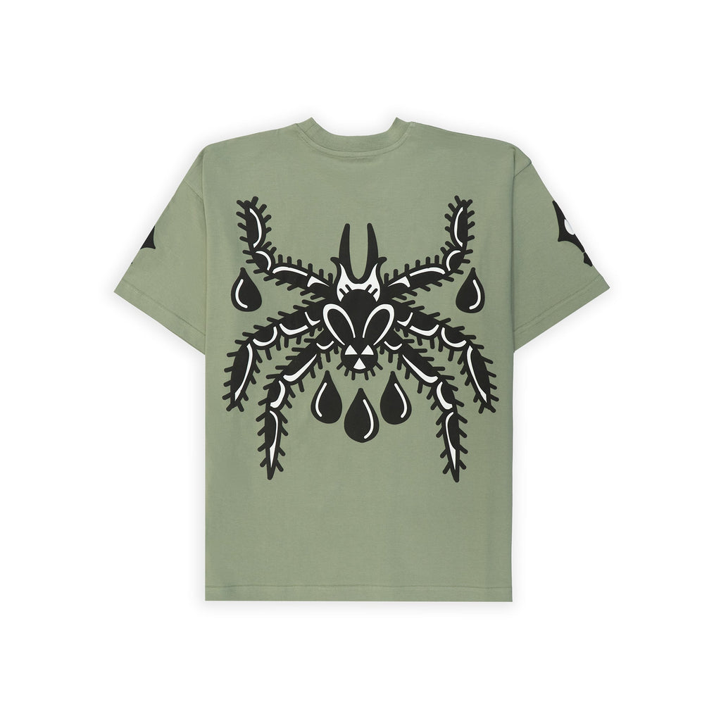 SPIDER T - Image 4